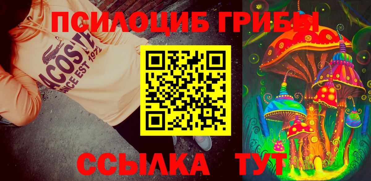 Кумертау  купить закладку  Псилоцибиновые грибы мухоморы  Вход с VPN  Псилоцибиновые грибы Psilocybine cubensis 